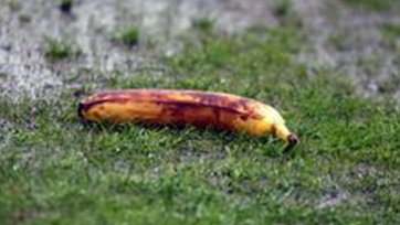 В Англии тоже бросаются бананами на поле