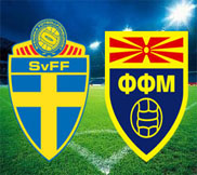 Швеция - Македония (1:0) (03.06.2013) Видео Обзор