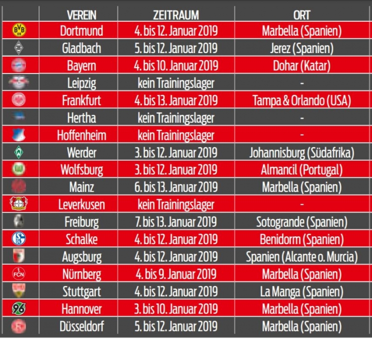 14 из 18 клубов Бундеслиги в январе проведут сборы за границей