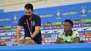 На Бразильскую конфедерацию футбола подали в суд из-за инцидента с котом